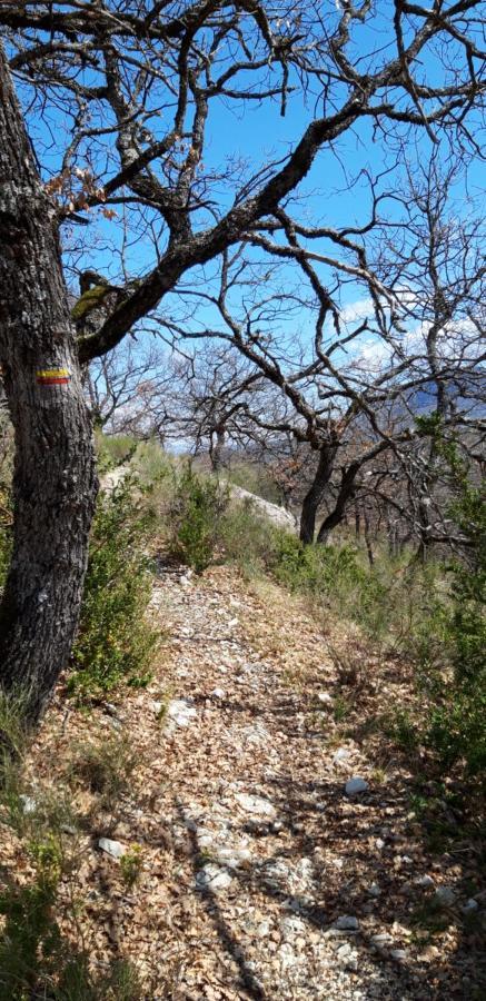 Gites Les Costoliers Châteauneuf-Miravail المظهر الخارجي الصورة