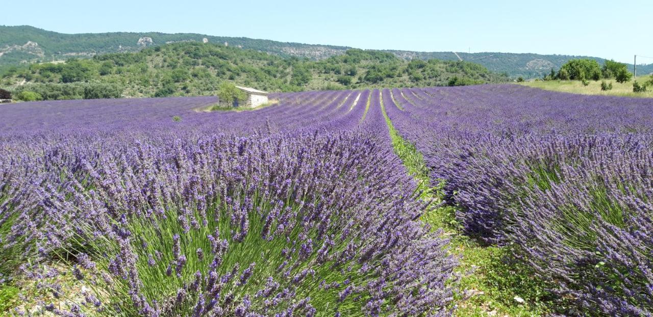 Gites Les Costoliers Châteauneuf-Miravail المظهر الخارجي الصورة