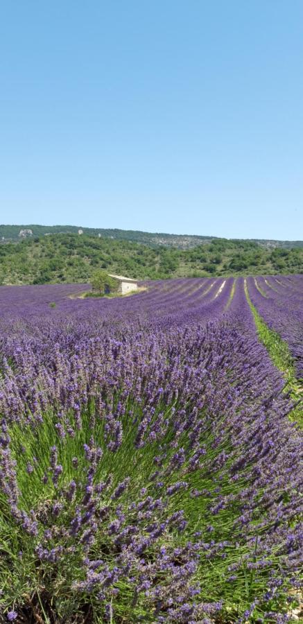 Gites Les Costoliers Châteauneuf-Miravail المظهر الخارجي الصورة